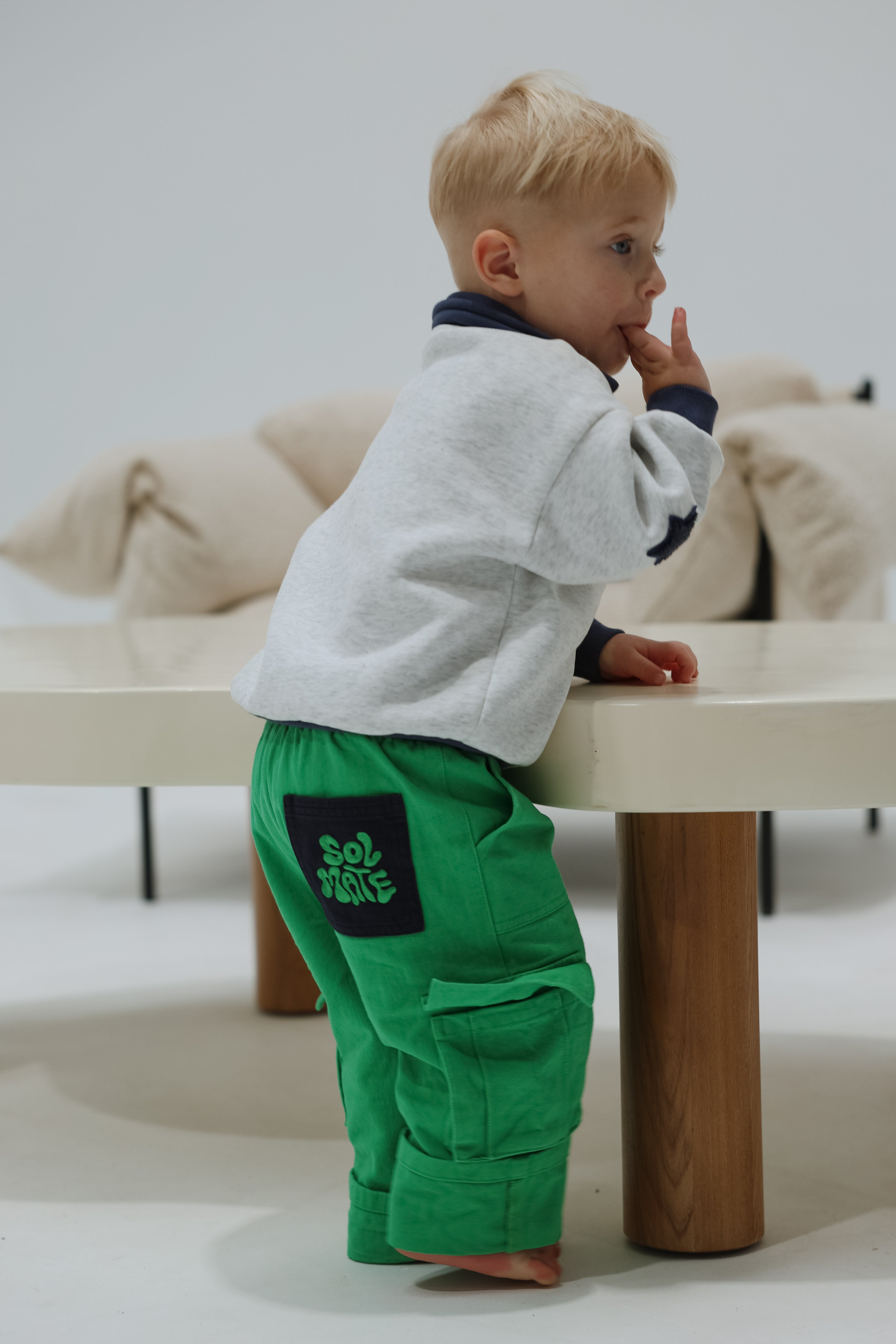 FELIX CARGOS